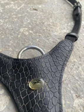 Collier de chasse + martingale