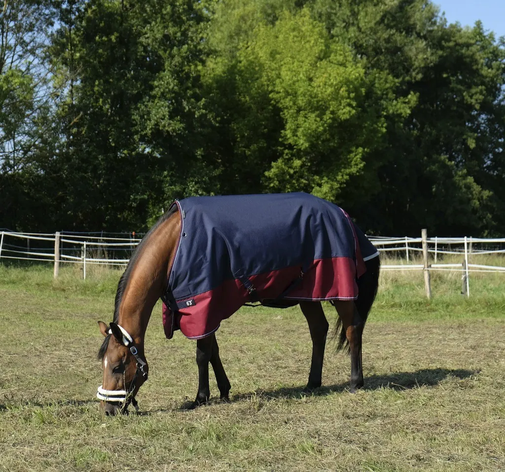 Couverture Equi-Theme Tyrex 1200 D pour cheval