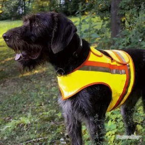 Gilet de sécurité pour petits chiens Terrier