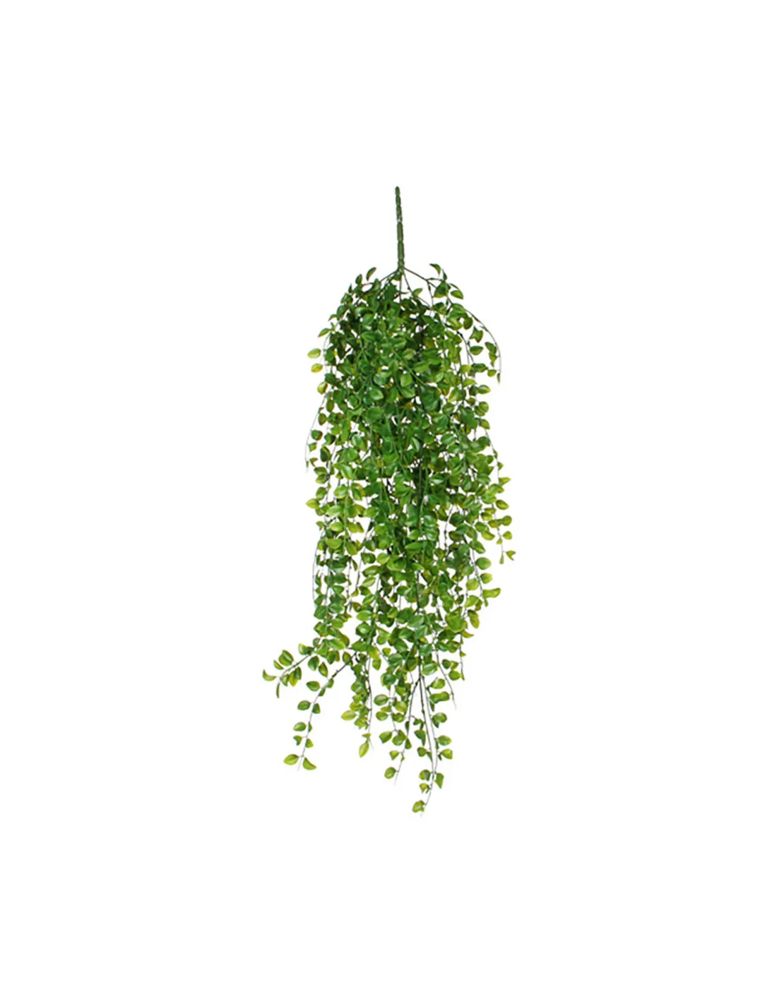 Pendentif Ficus Couleur Vert 81 Cm - 83673