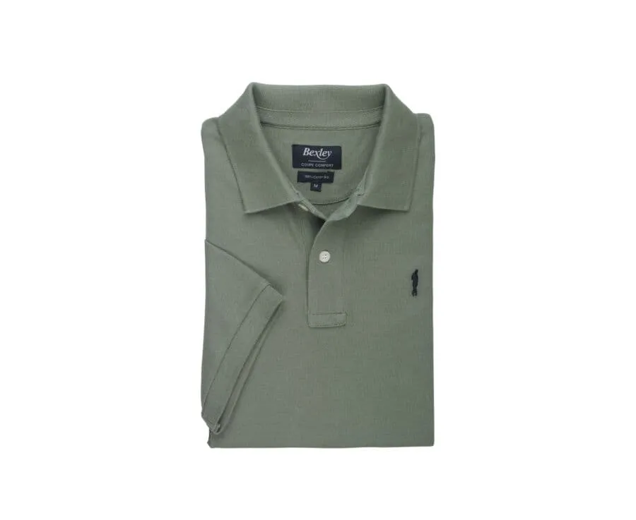 Polo homme Vert Sauge Gareth