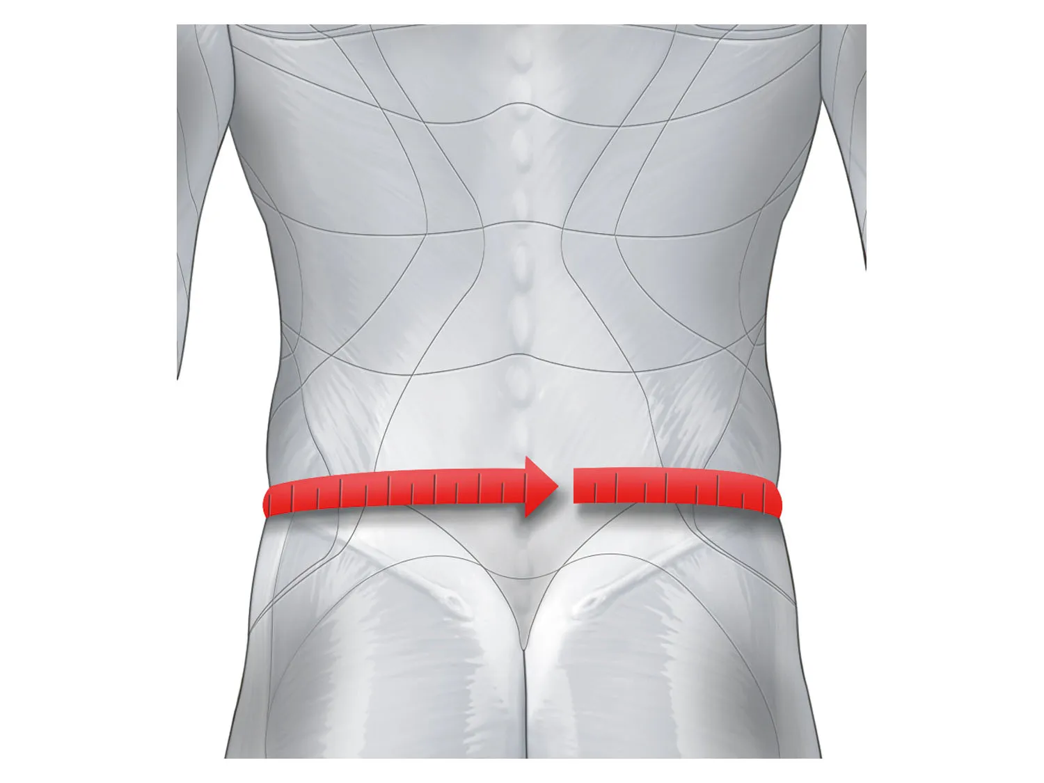 sensiplast® Ceinture lombaire