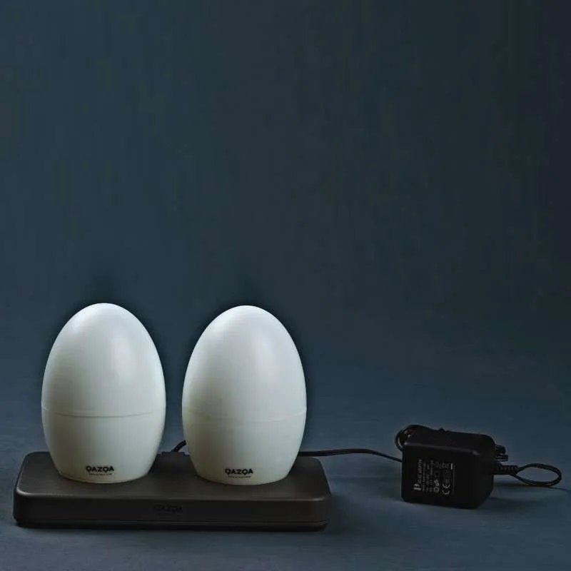 Set 2 lampes à LED rechargeables EGG